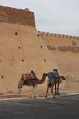 things to do in morroco