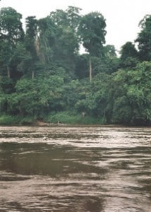 Lope River and Elephant