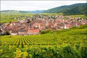 Alsace vinyards and holiday ideas