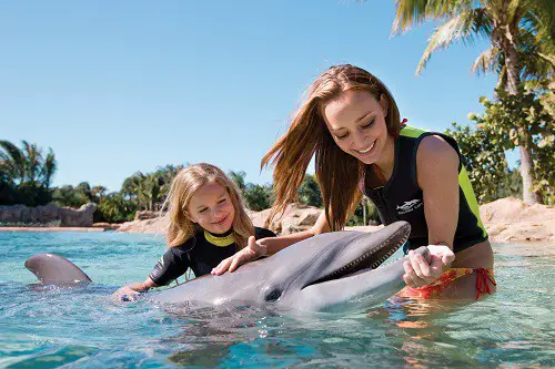 where to swim with dolphins