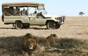 Best Safaris in Tanzania