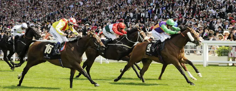 The Best, Ridiculous Hats From the Royal Ascot Horse Race