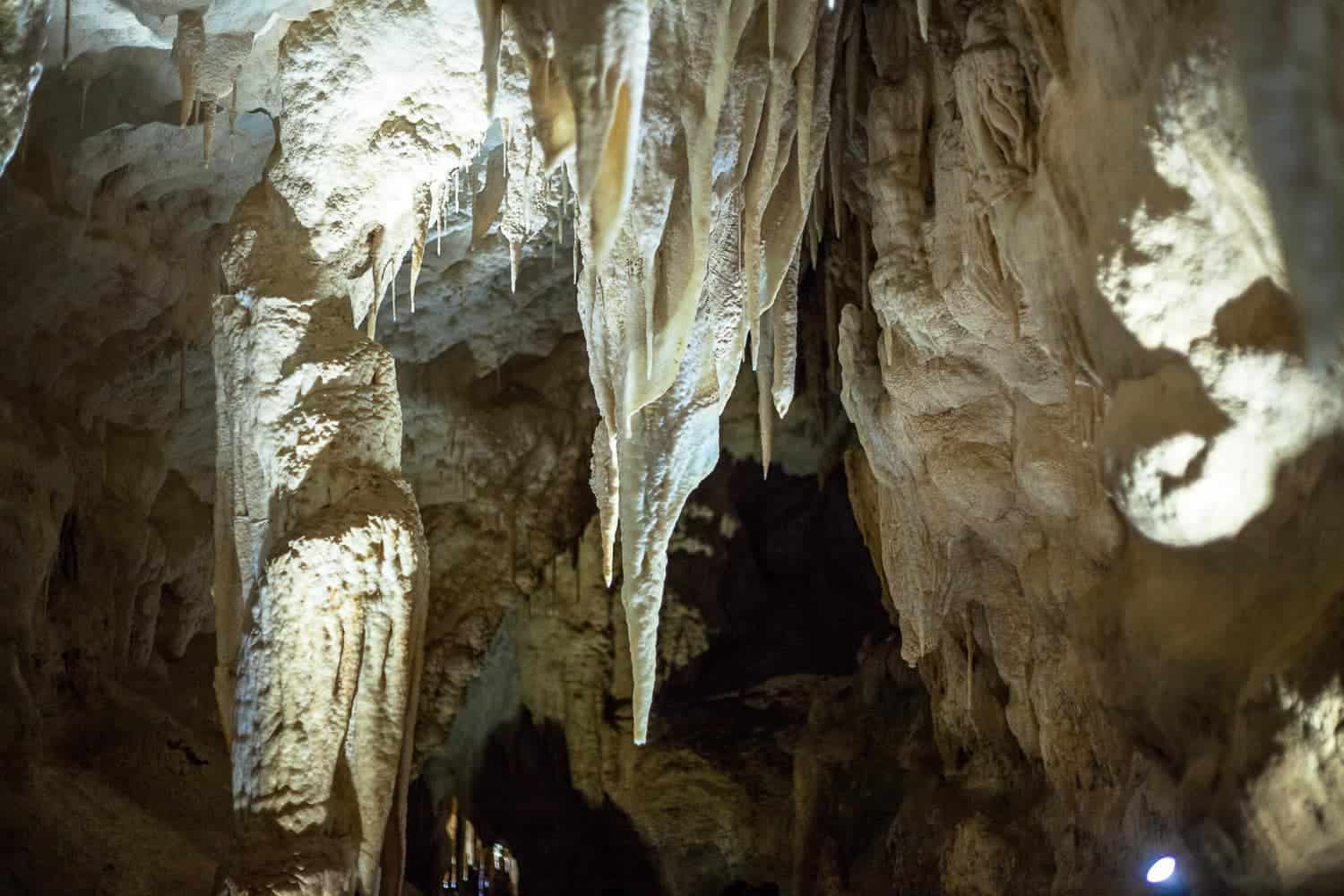 Ruakuri Cave review