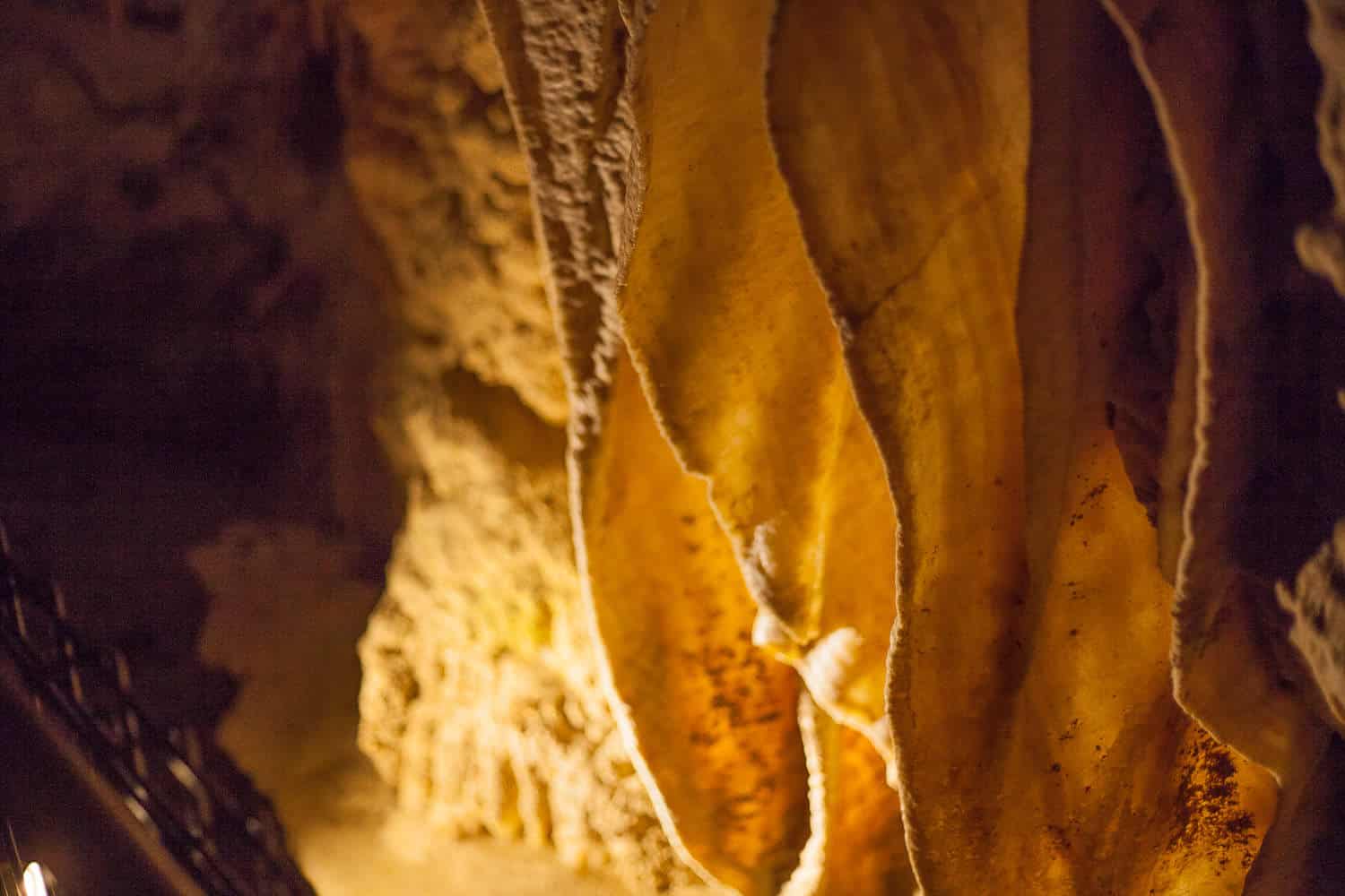 review of Ruakuri Caves