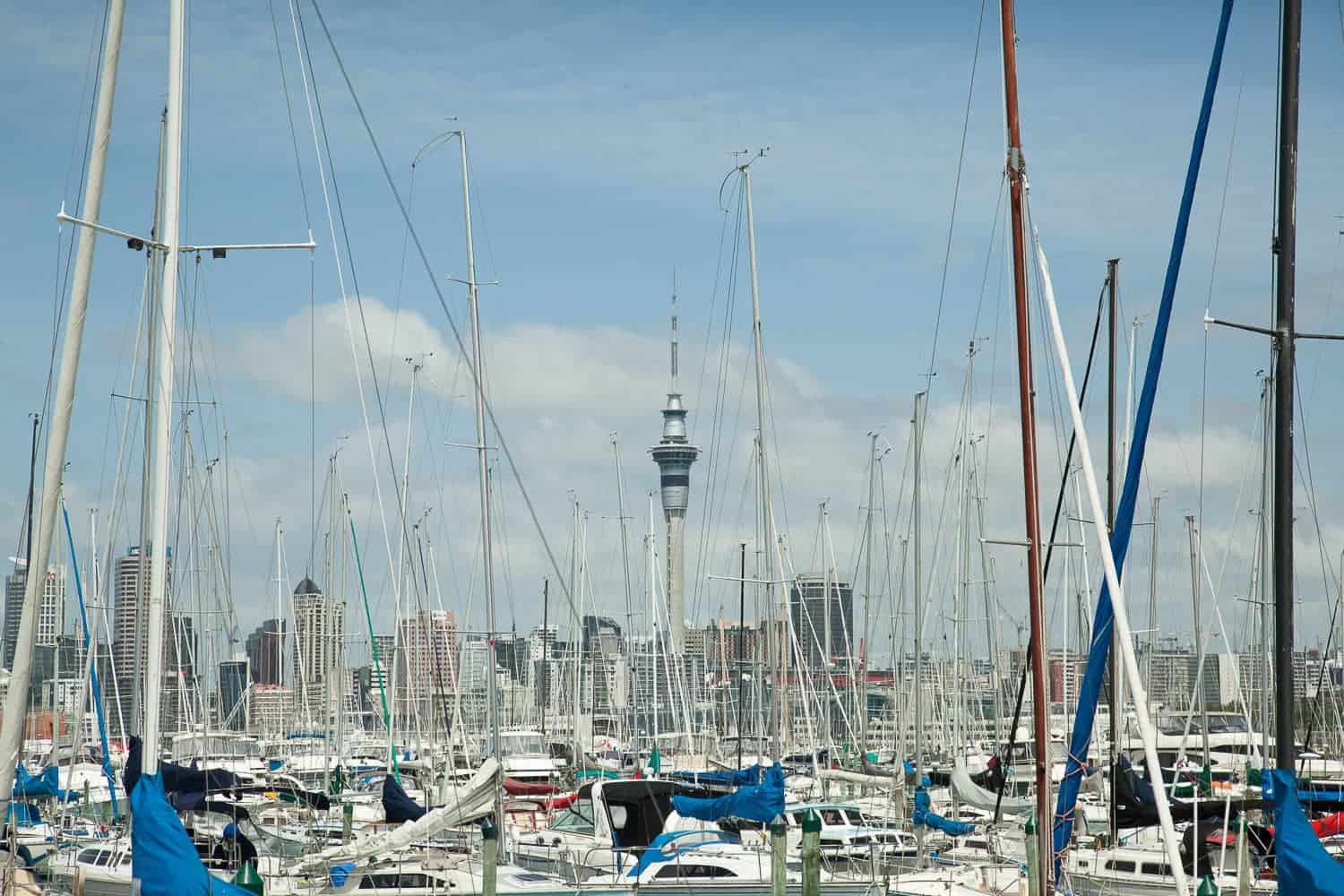 Auckland marina