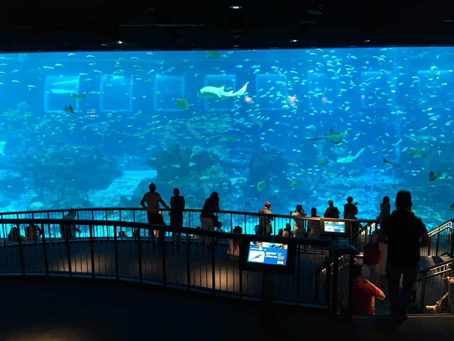 SEA Aquarium Singapore