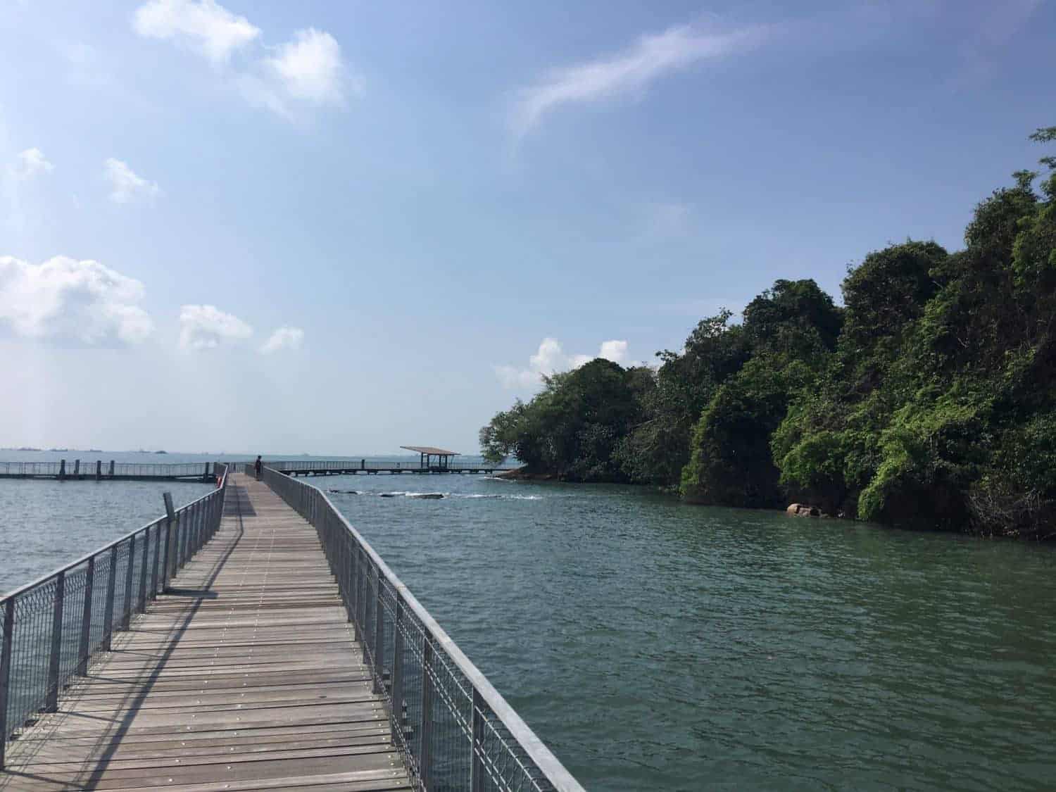 Coastal walk on Pulau Ubin