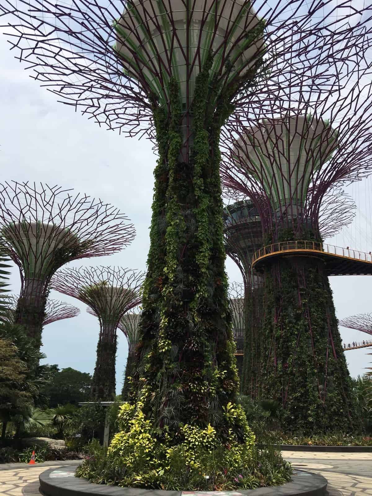 Gardens By The Bay super trees